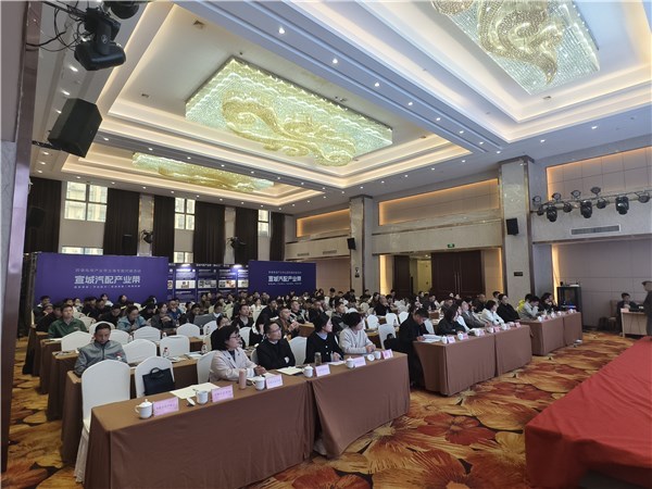 宣城汽配產(chǎn)業(yè)帶揚(yáng)帆出海，跨境電商專(zhuān)場(chǎng)對(duì)接賦能企業(yè)建站新篇